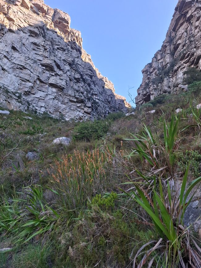 Caminata por la Montaña de la Mesa
