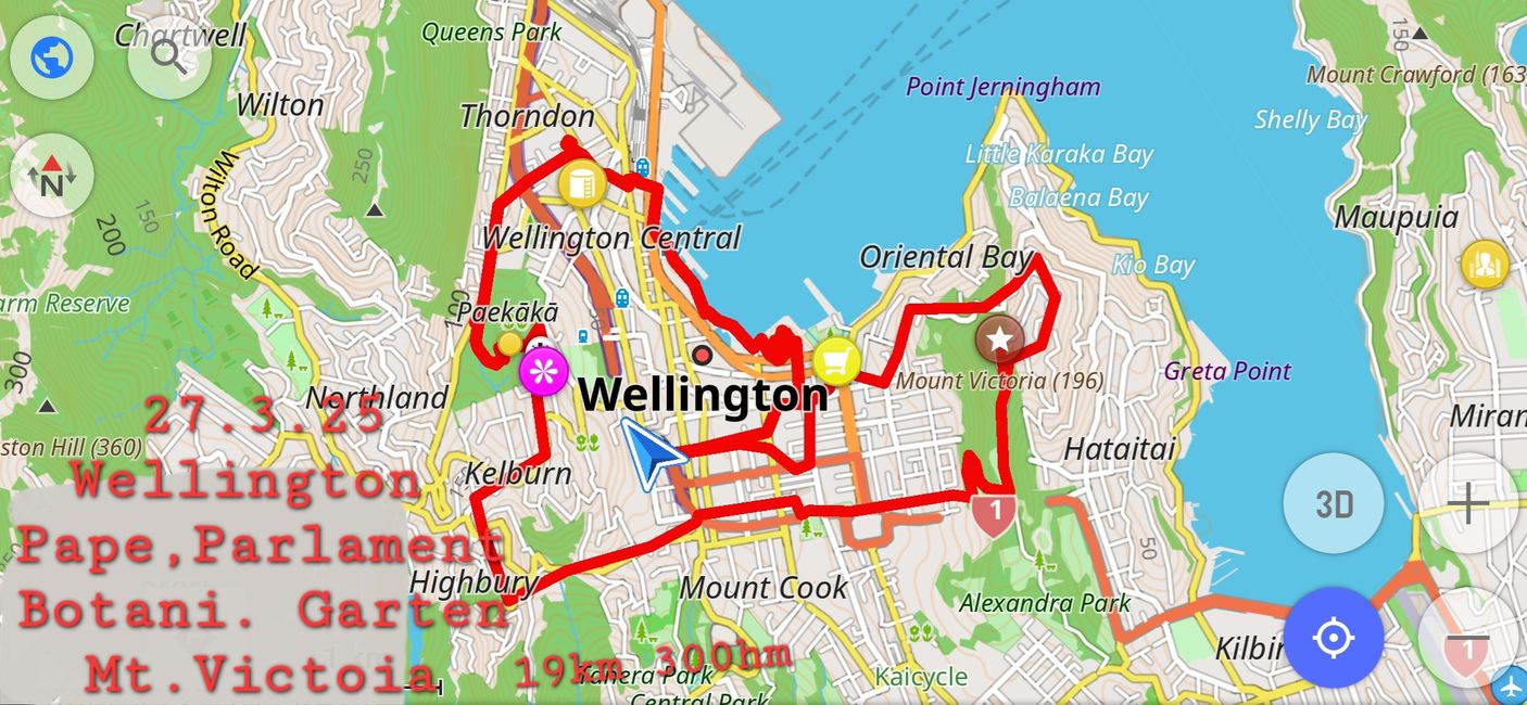 26.3.25 a Wellington 