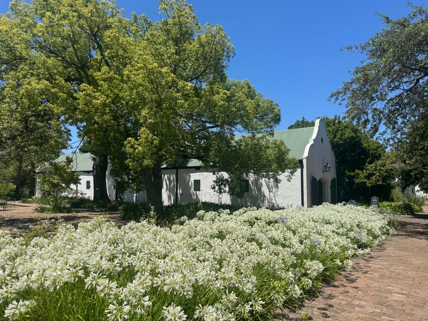 Weihnachtstage in Stellenbosch