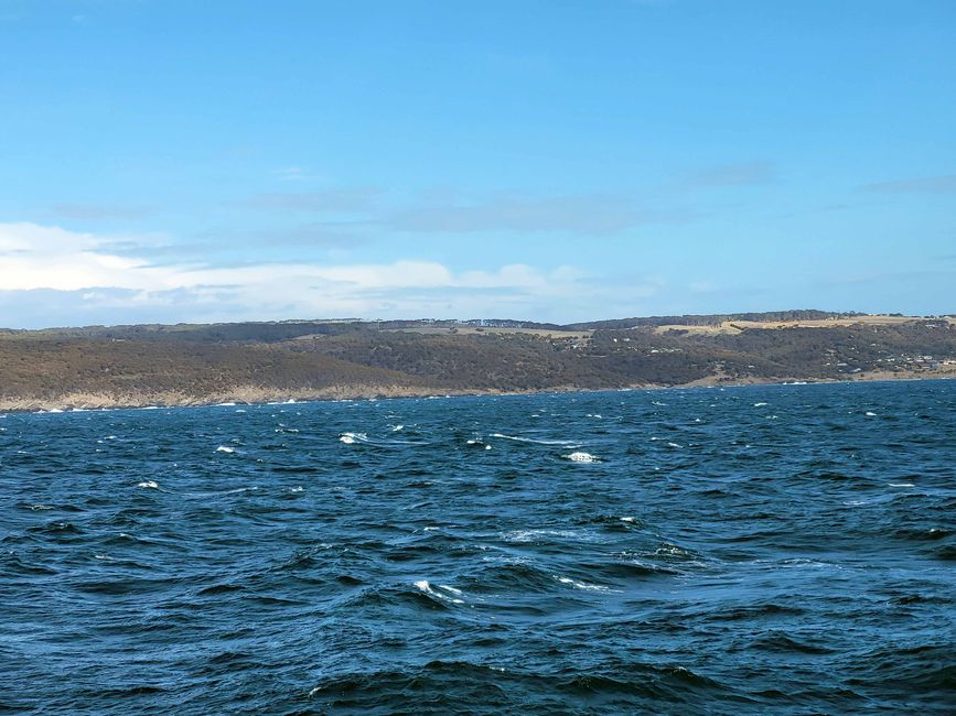 vue sur l'île Kangourou