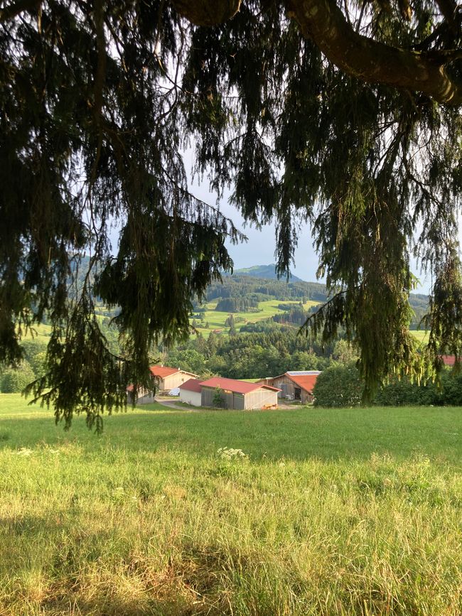 Kuhle Grüße aus Wertach