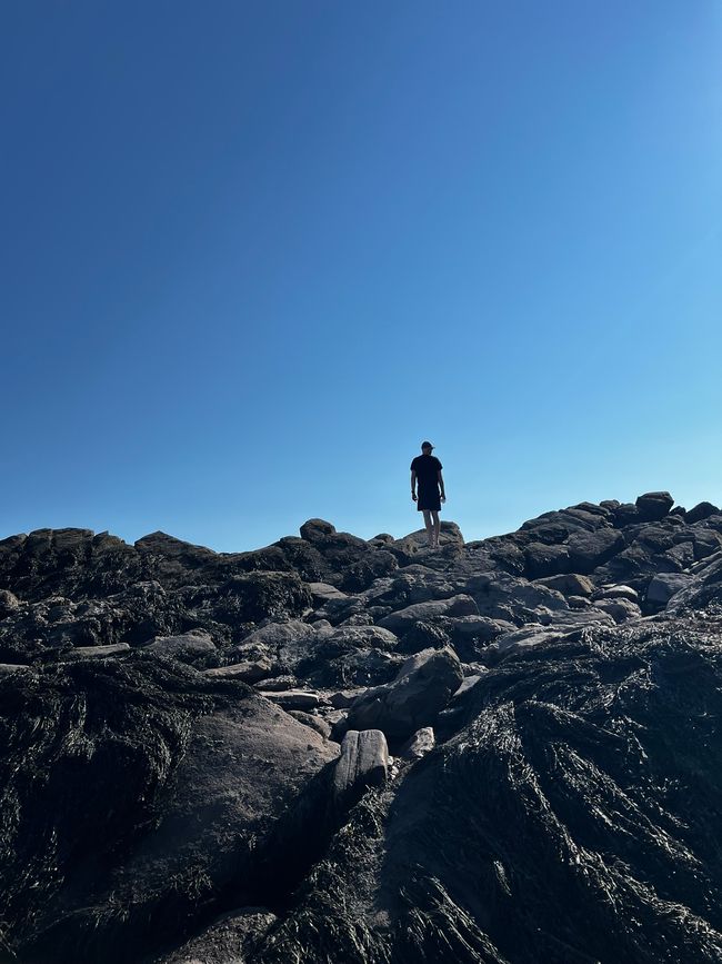 Un paseo por el lecho marino de uno de los lugares de marea más extremos del mundo