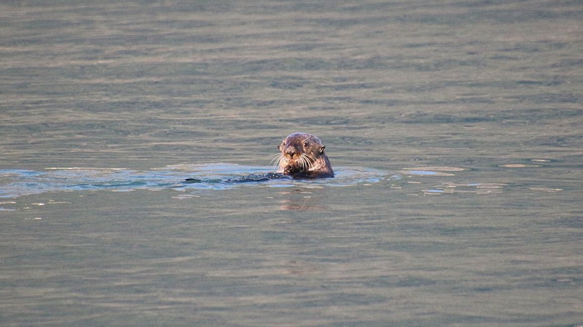 Day 24: Trip to Juneau: Glacier Outburst & 20,000 Tourists