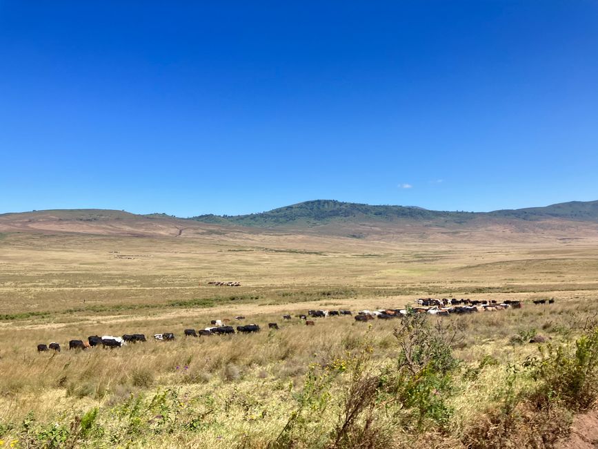 Il Cratere di Ngorongoro