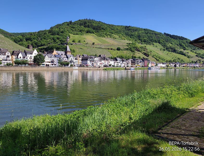 Ein , Arbeitstag ' für Herrchen an der Mosel 