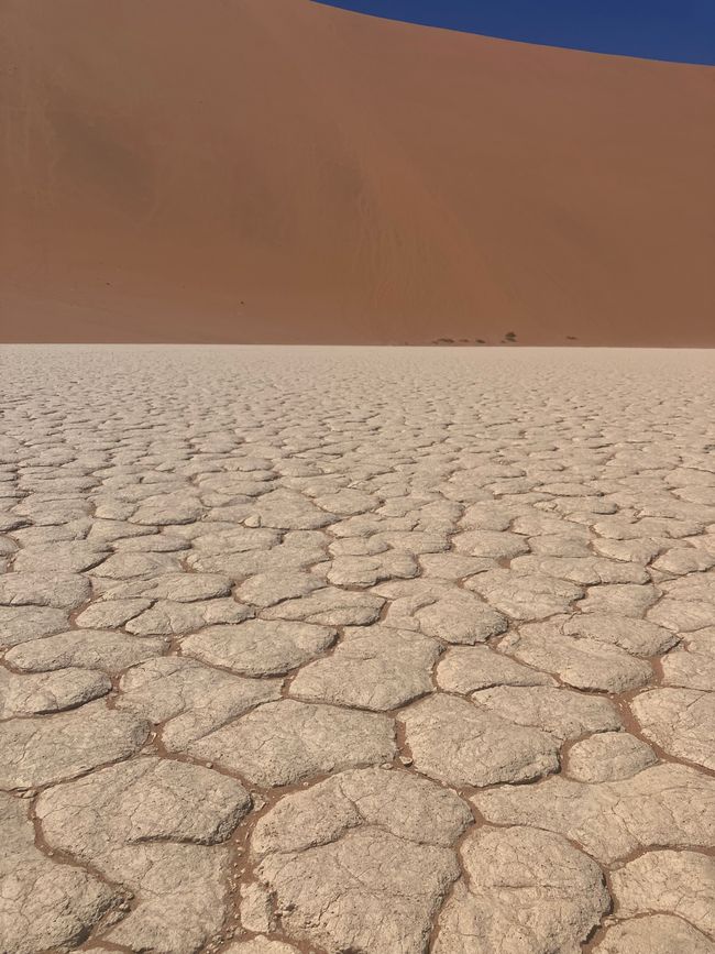 Il deserto namibiano - un mare di sabbia
