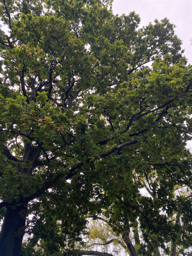 Lets do some Sightseeing