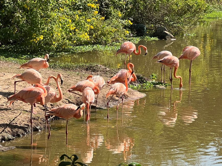Tag 16 - Phu Quoc: Tierische Higloghts und glitzerndes Einhorn