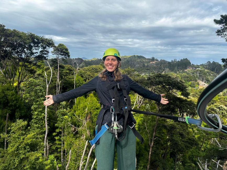 Hahei - The 309 Road - Coromandel