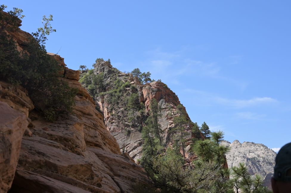 Auf der letzten halben Meile zu Angels Landing