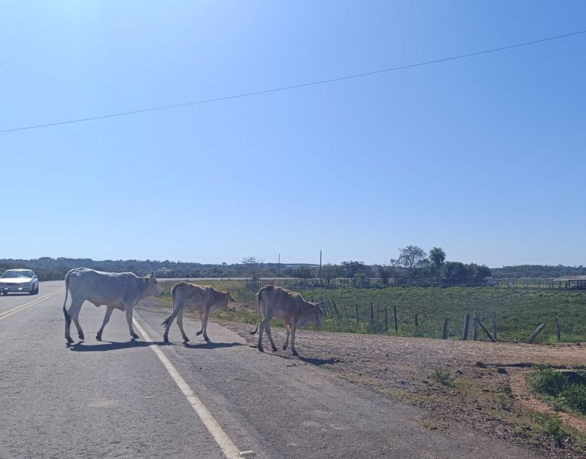 Paraguay_Caacupe_Aventura_Ranch (Juli 2025)