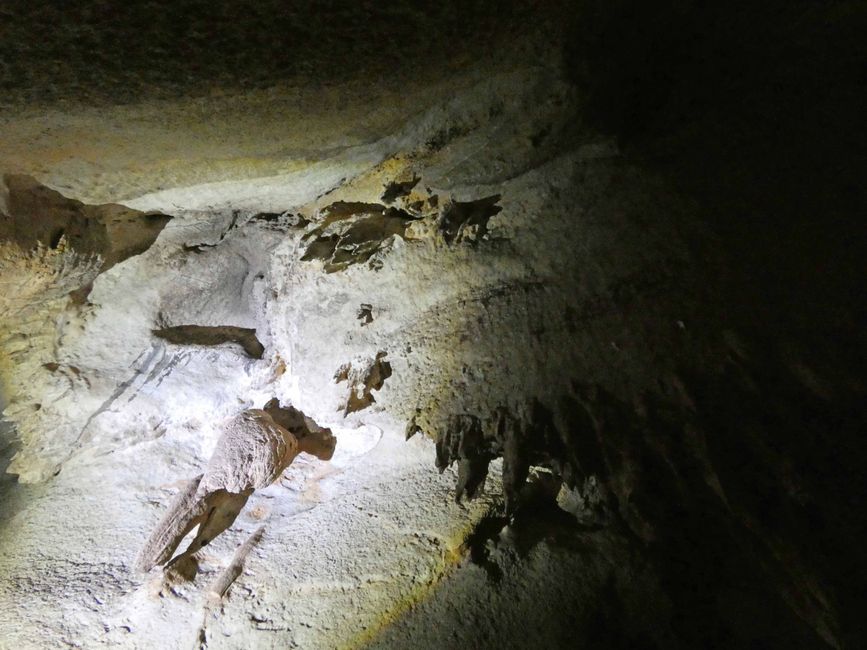 Cutta-Cutta-Caves