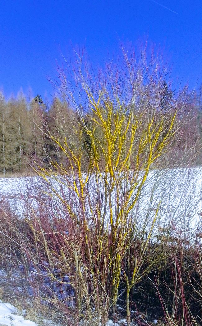 Reset - Neve di ieri, o quale fondamento vuoi costruire?
