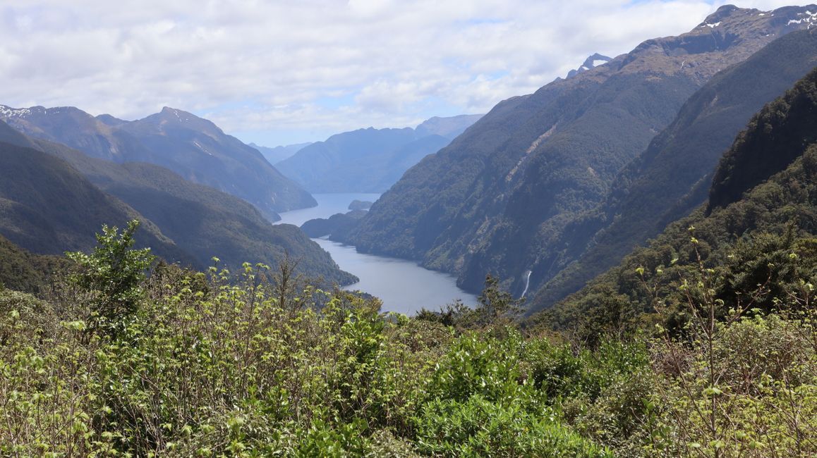 Blick auf den Doubtful Sound