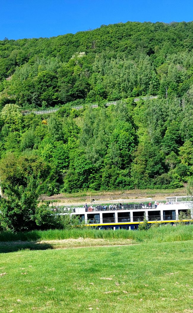 Osservare le barche