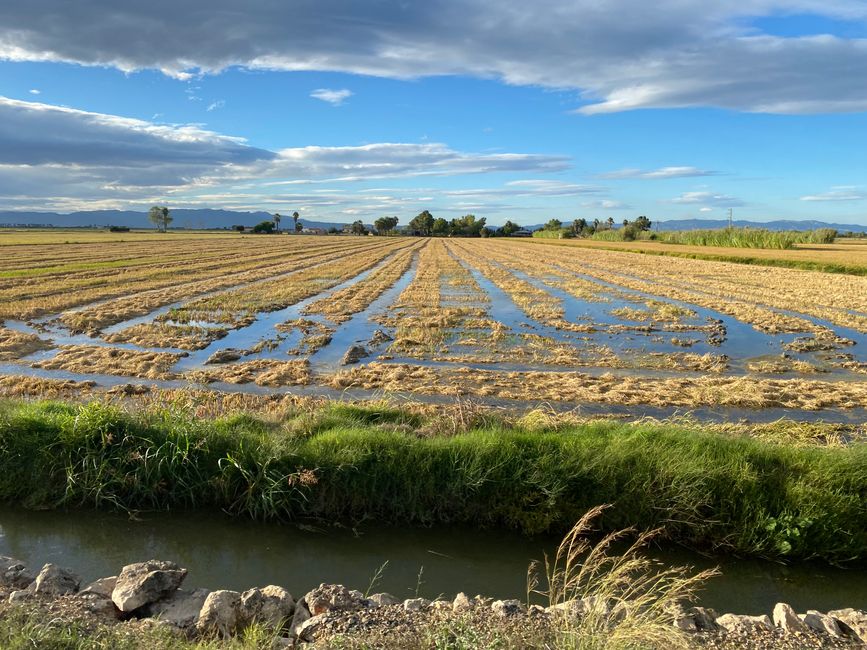 Kontrastprogramm: Das Ebro Delta - flach - windig - einsam