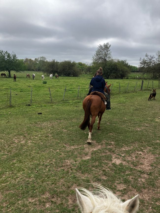 San Antonio de Areco - En las huellas de los gauchos