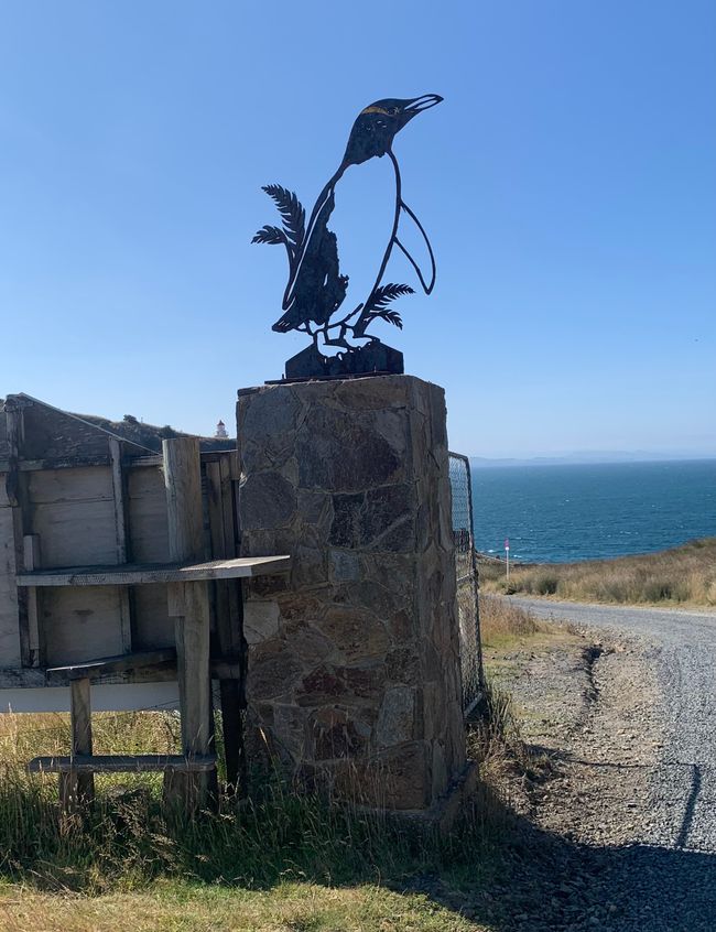 Dunedin and Taiaroa Head