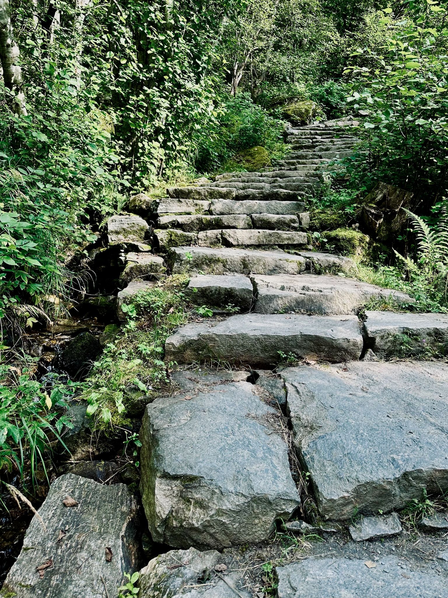 Steps upon steps