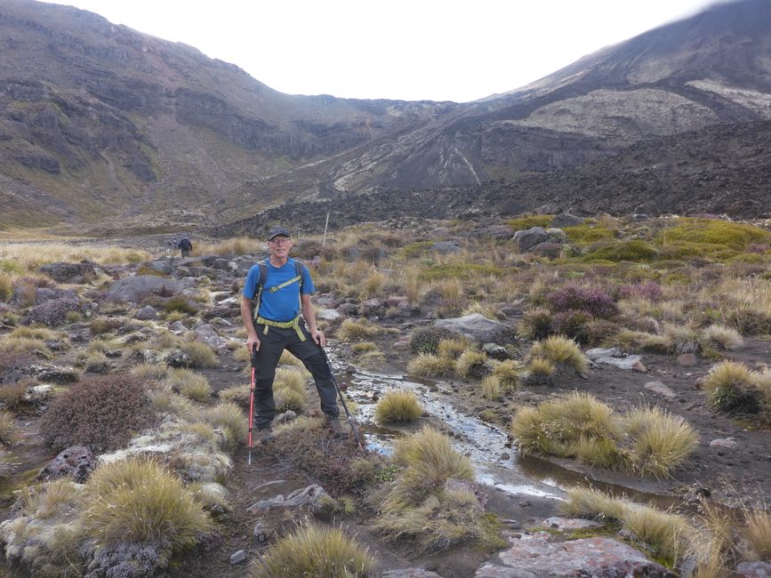 2025-03-29 Tongariro, Timber Trail and ...