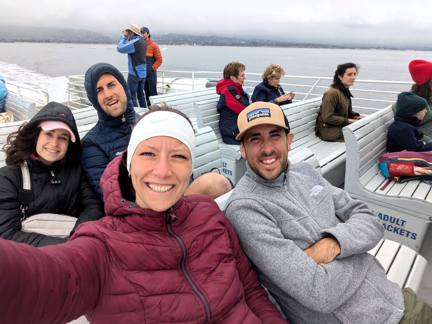 Excursión de avistamiento de ballenas