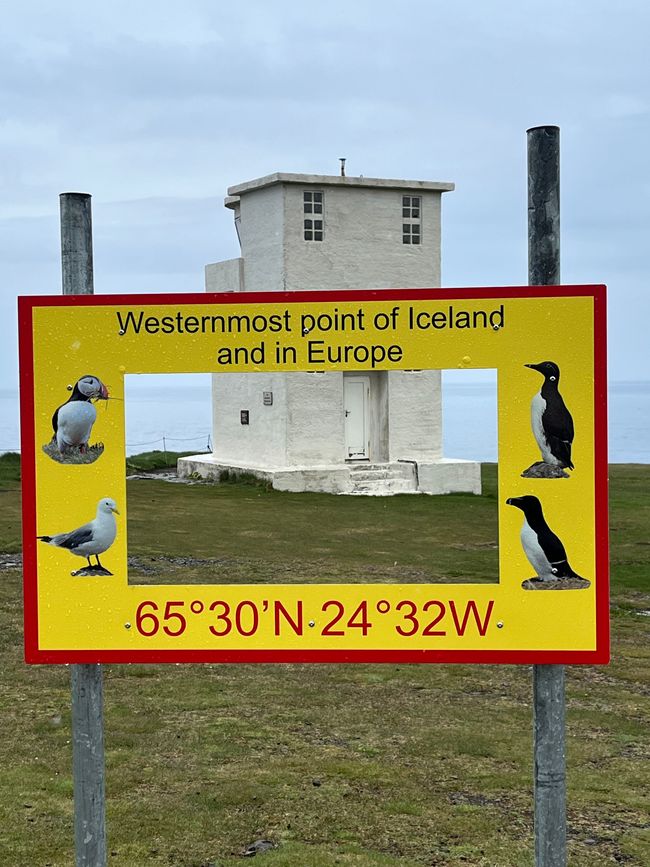 Auf der Jagd nach Puffins