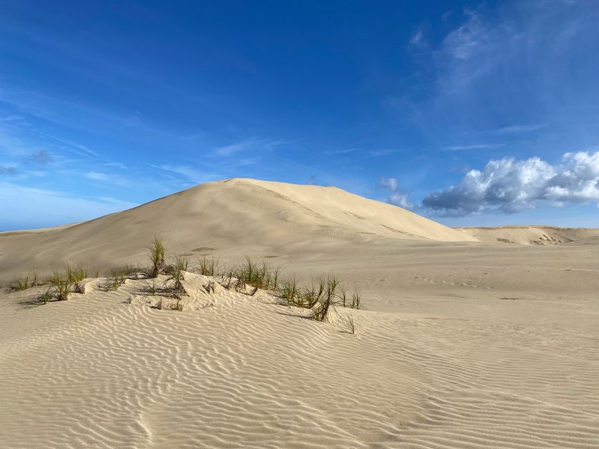 At the End of the World