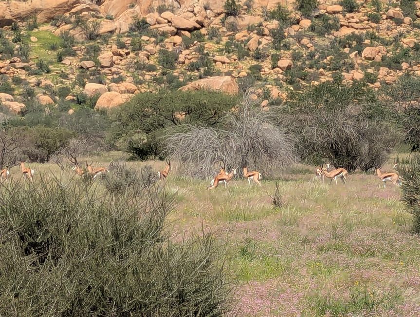 Chaîne de montagnes d'Erongo et Lodge Ai Aiba