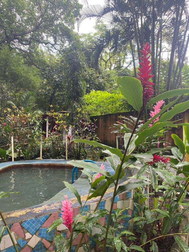 Panama 🇵🇦 🌴