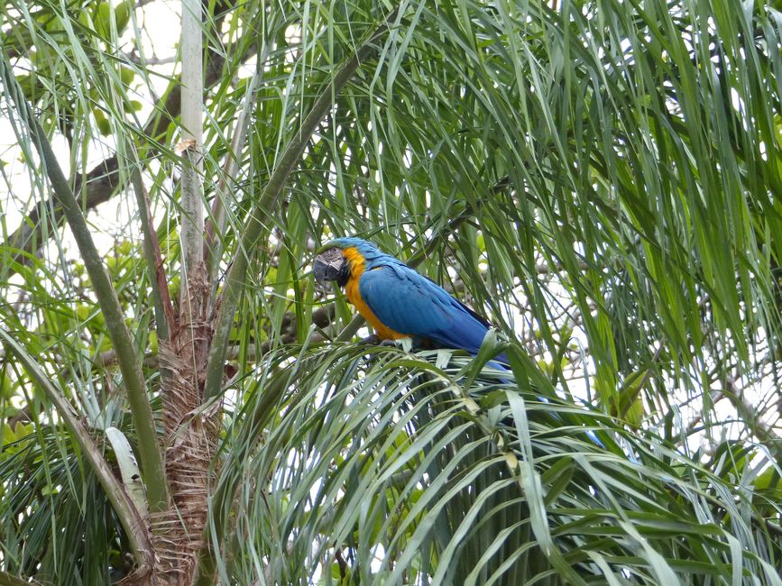 Refugio Canaa Brasil