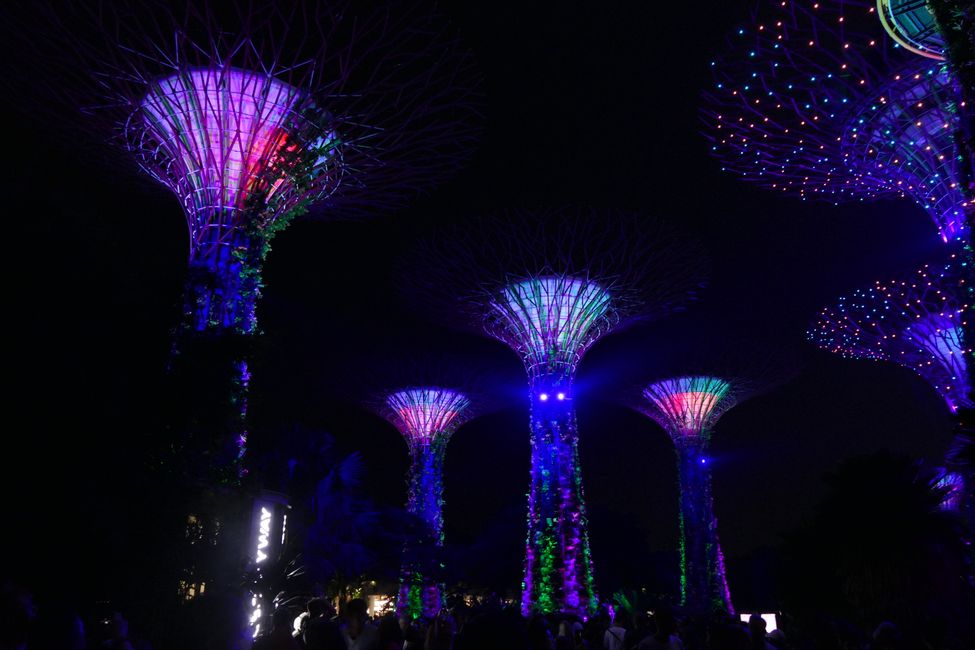 - Singapur & Tasmania 2019 -