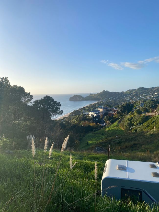 Coromandel loop