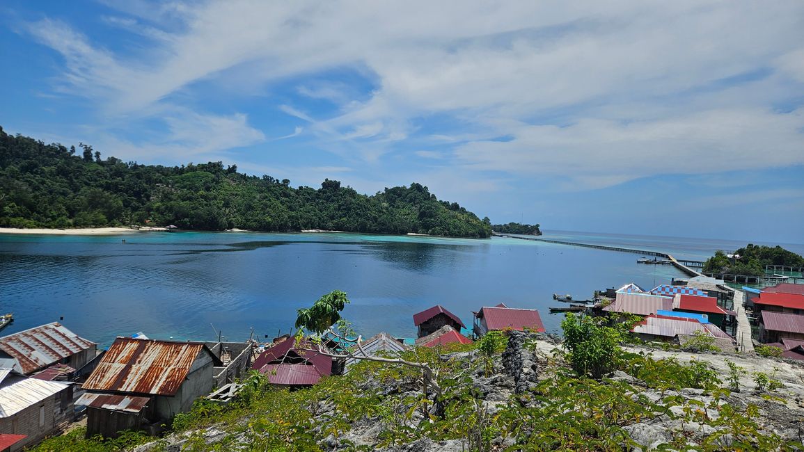 Isla Papan y el Lago de Medusas