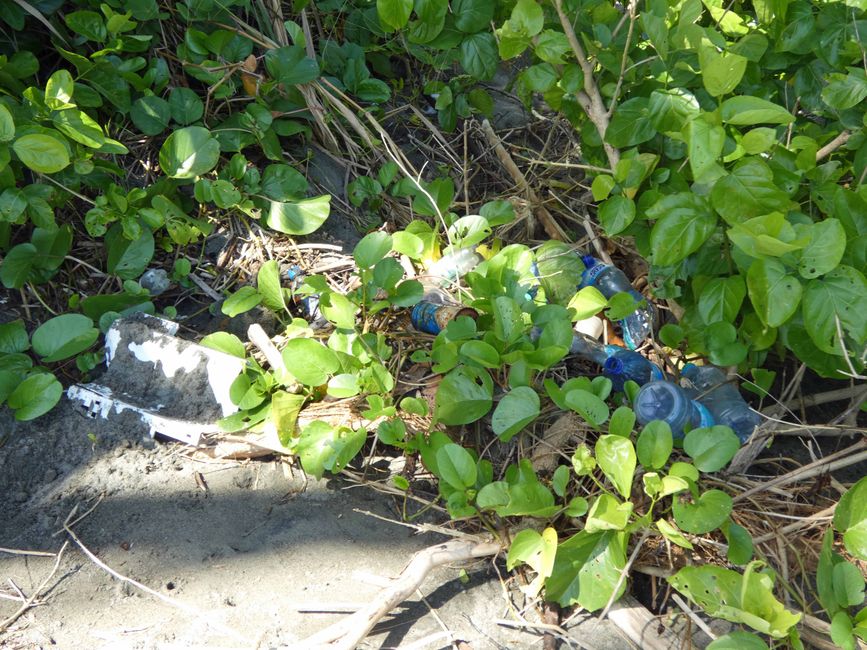 Abfall am Strand