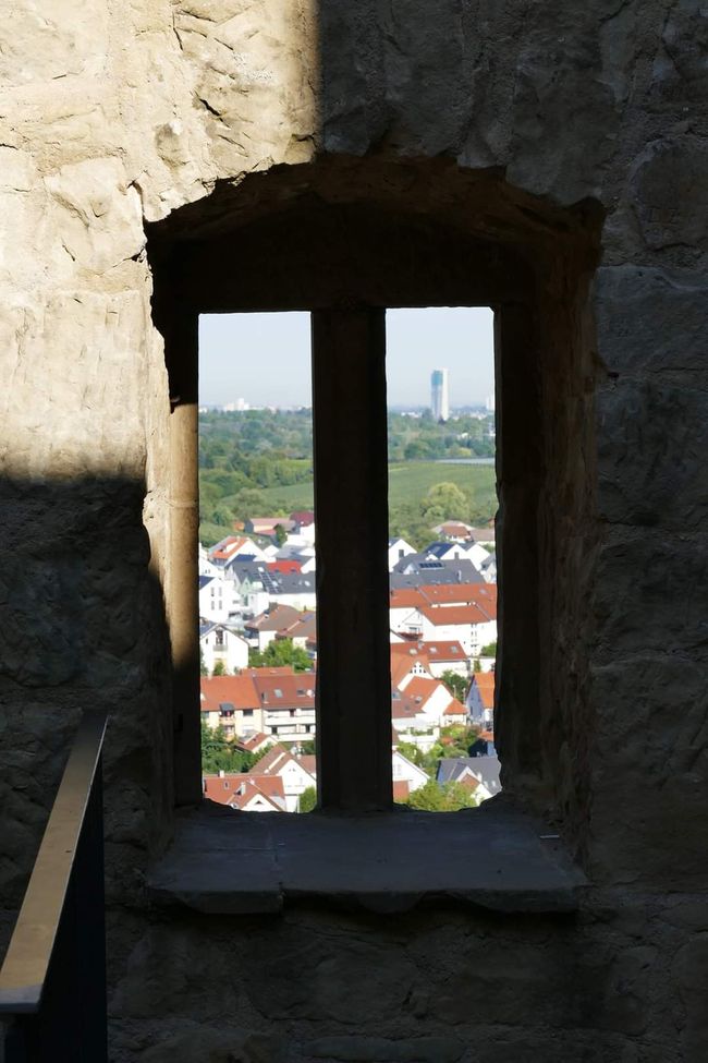 Between Vines and History: The Yburg in Focus 📸