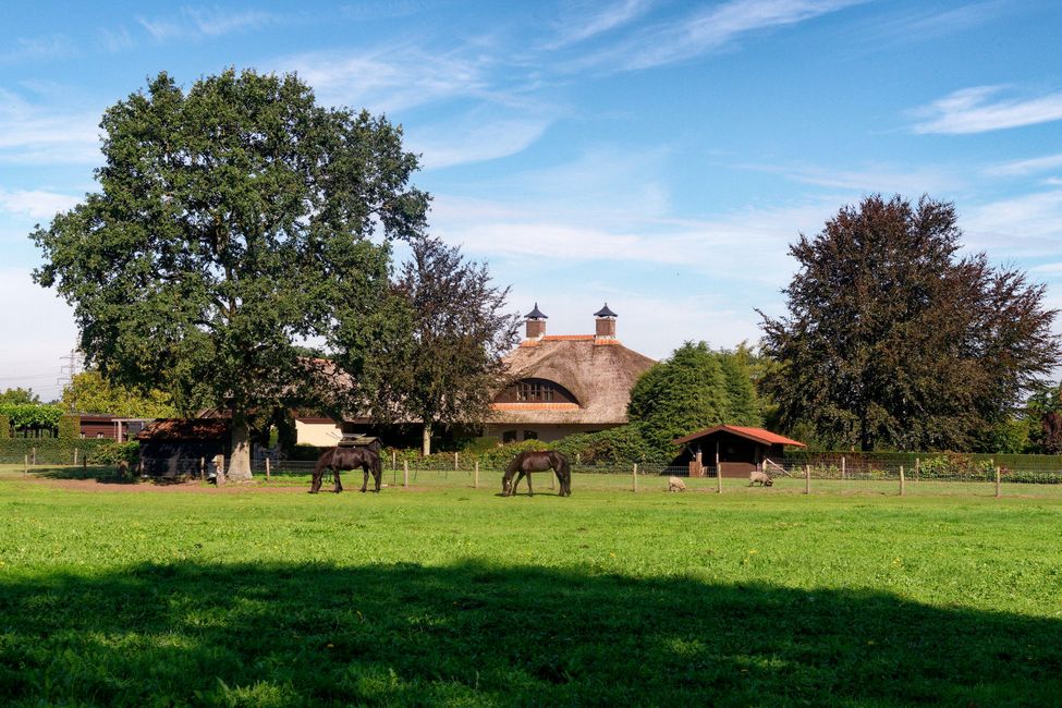 Radfahren in der Veluwe