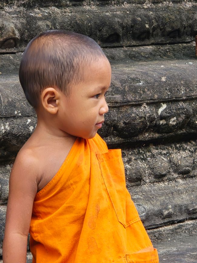 Alles kommt anders... - oder: Die Tempelanlagen von Angkor