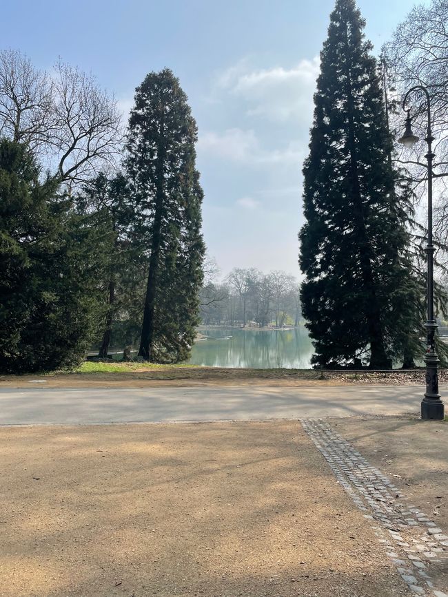 Bonn to Düsseldorf