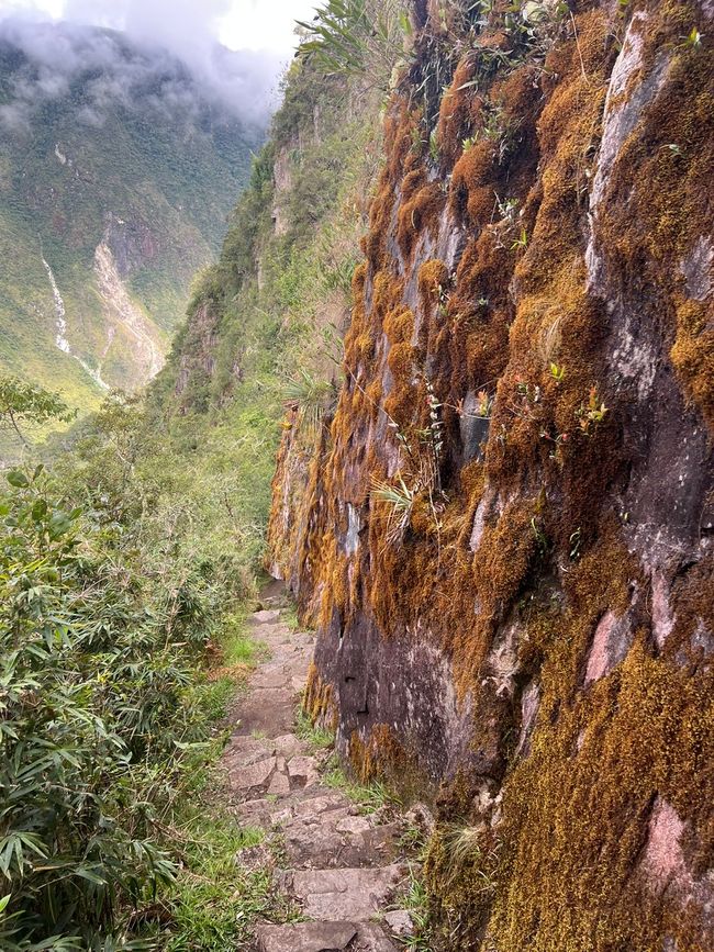 👷‍♂️标签 31-1 (3.11.) 马丘比丘，登上惠纳比丘山