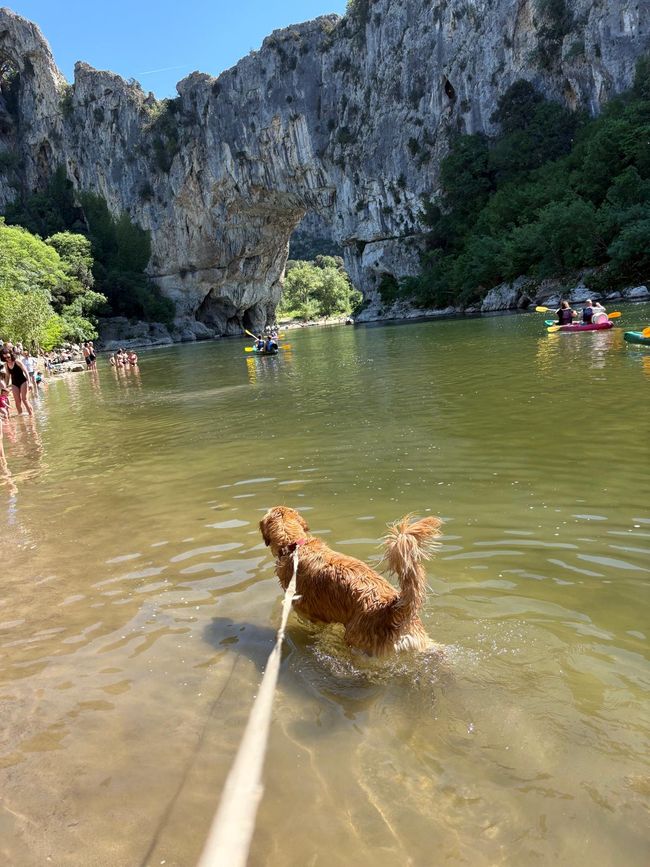 Camping Rives d'Arc