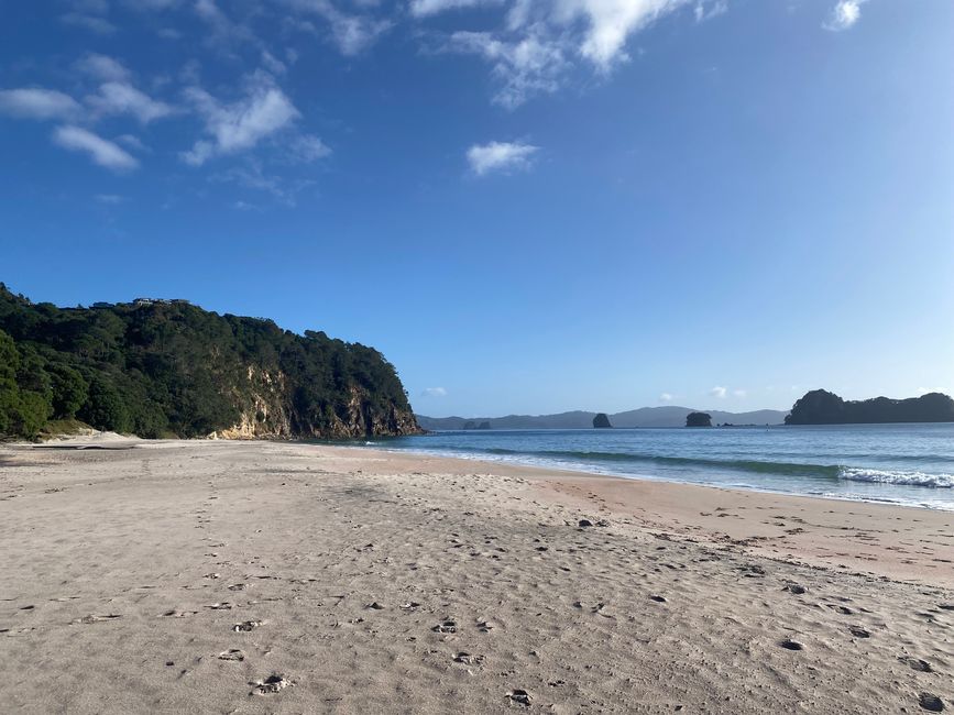 Coromandel loop