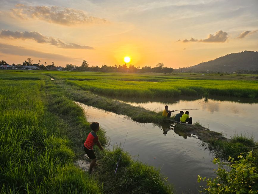 Langkawi - Reif für die Insel!