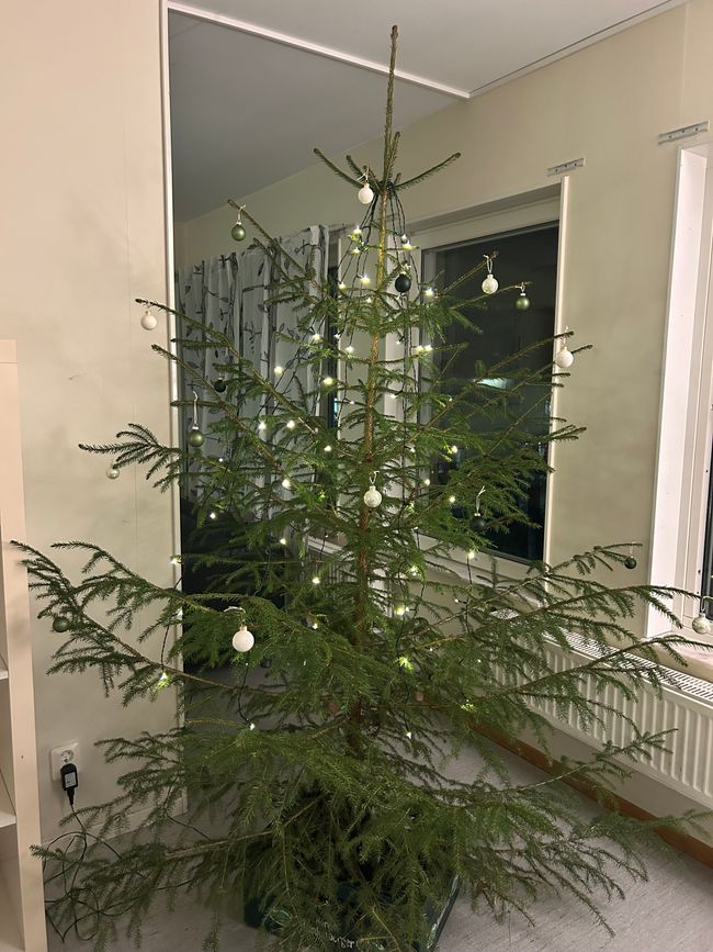 Weihnachten in Karlstad 🧑🏼‍🎄 