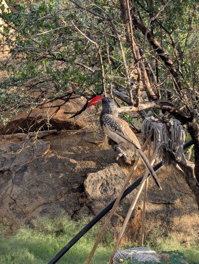 Chaîne de montagnes d'Erongo et Lodge Ai Aiba