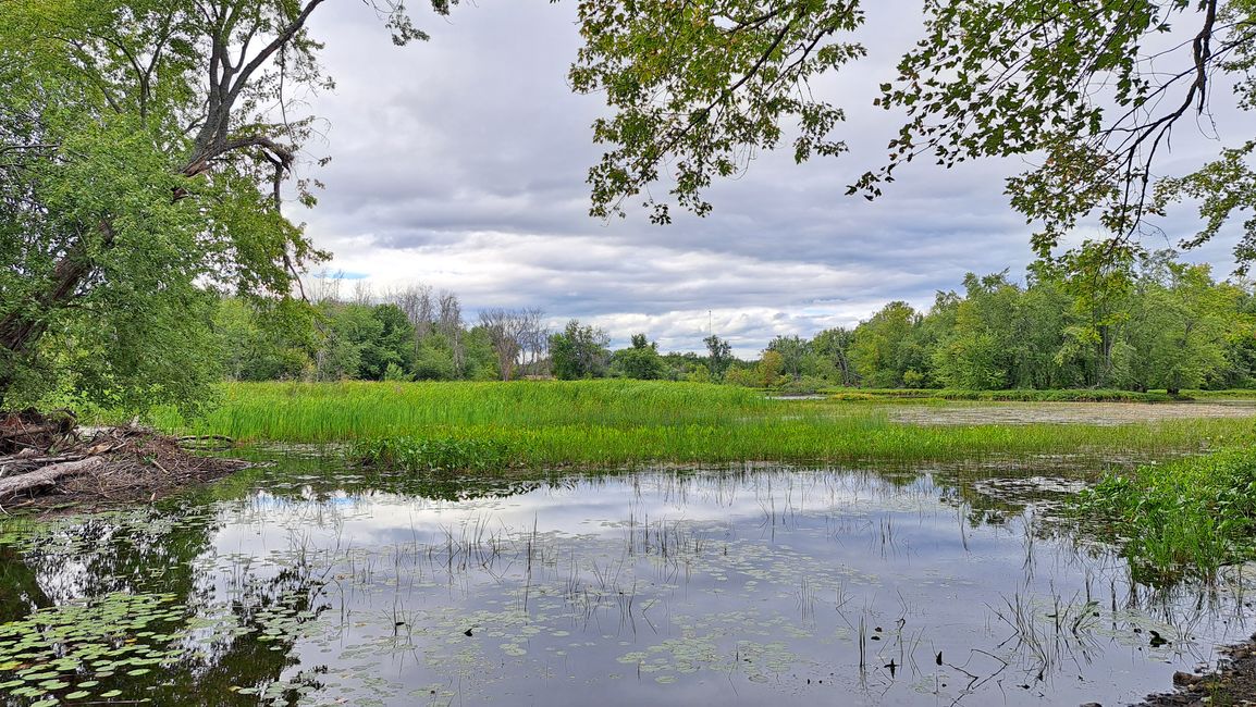 Fiume Moira