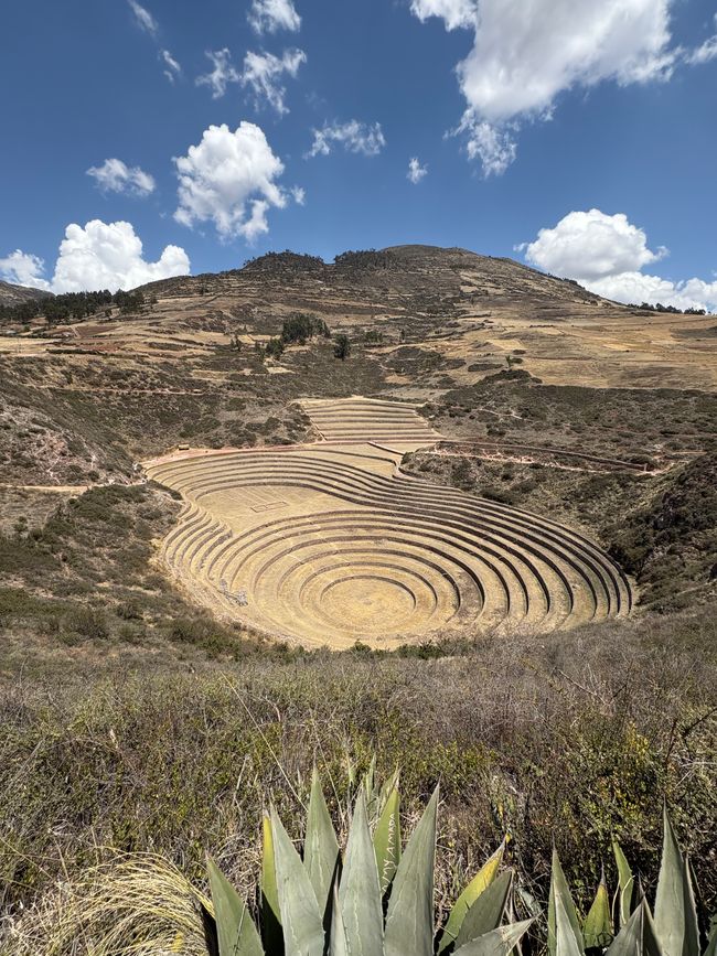 Peru_2025 - Tag 15: Sacred Valley Tour