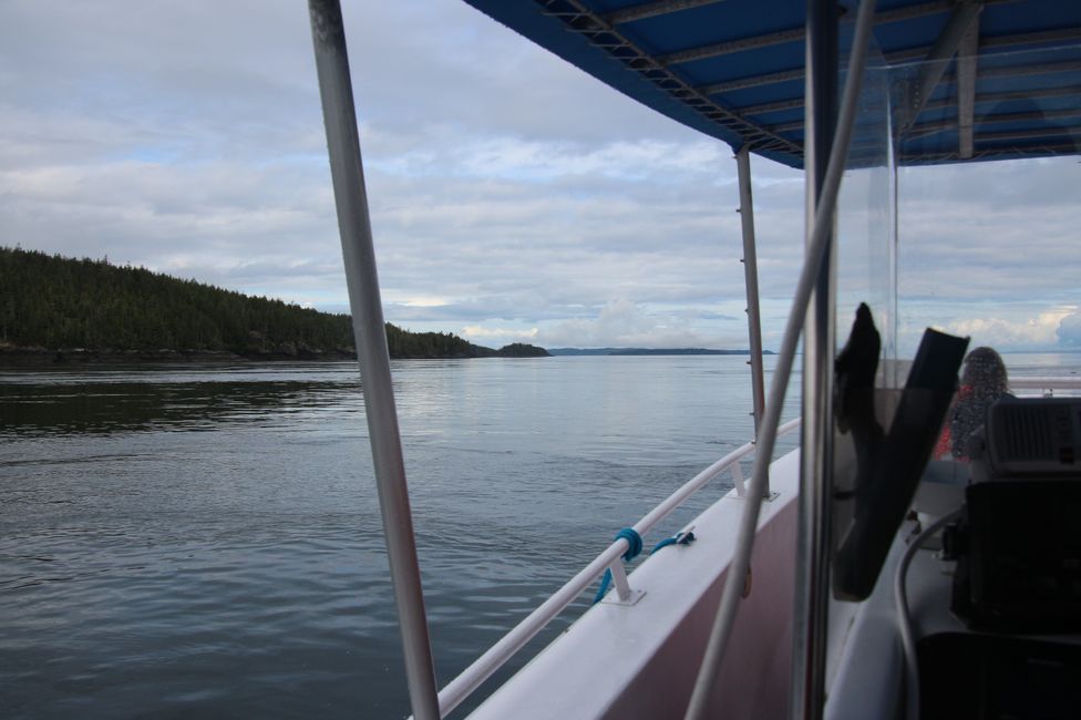 Tour de Observación de Ballenas de Seasmoke