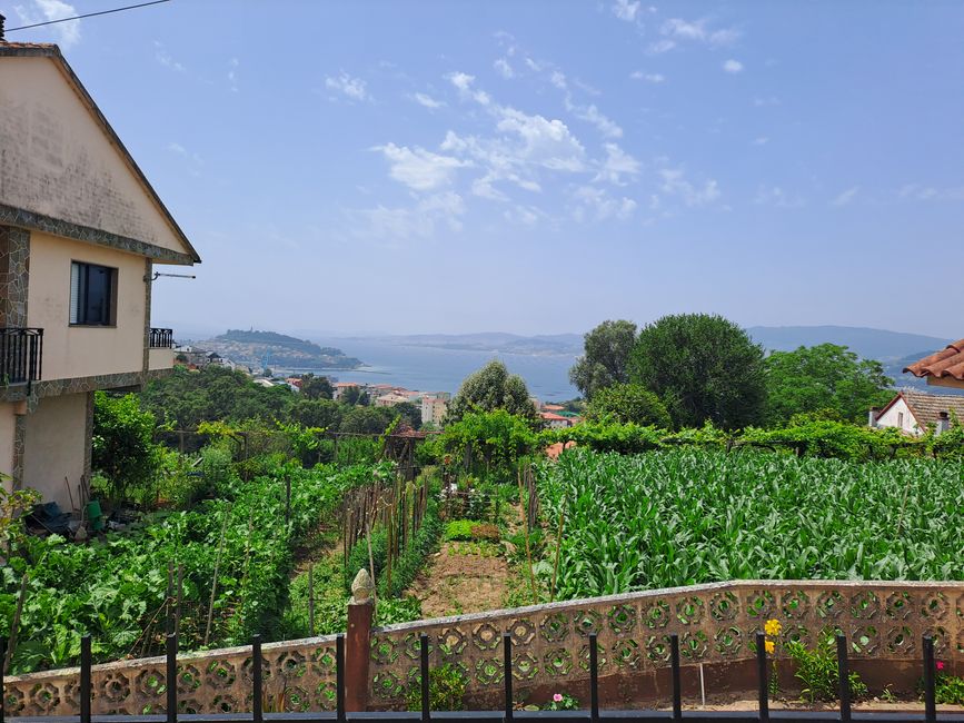 7. Etapa: Vigo - Islas Cíes - Redondela