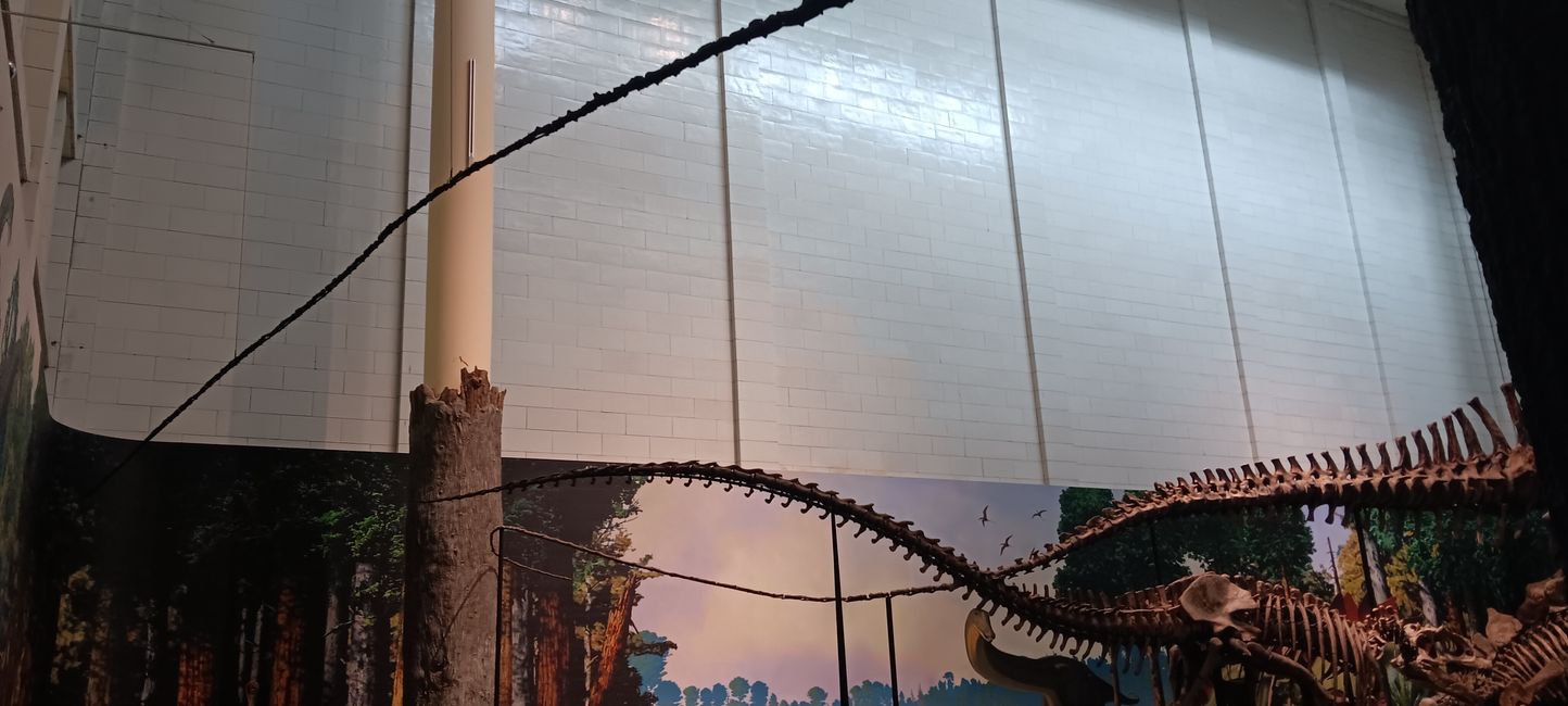 Museum of Natural History I