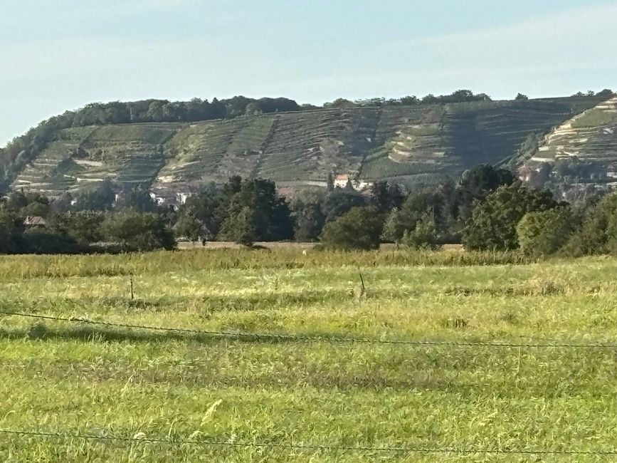 Dresda e dintorni